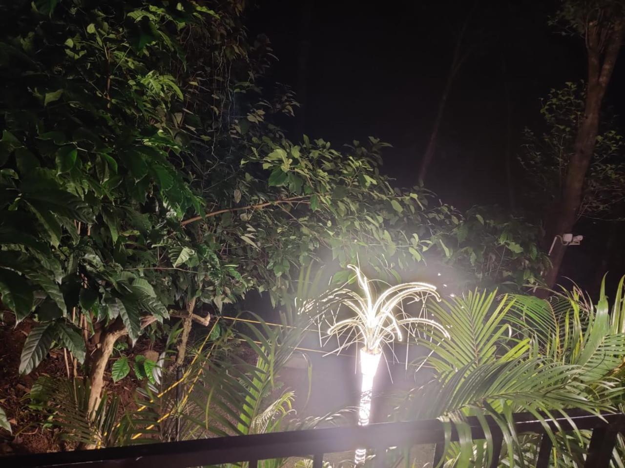 Misty Rain Estate Hotel Мадикери Екстериор снимка